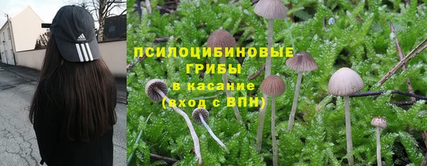 герыч Ладушкин