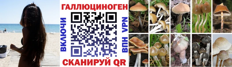 Псилоцибиновые грибы мухоморы  Барнаул 