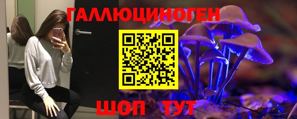 Галлюциногенные грибы Cubensis  Барнаул  Псилоцибиновые грибы GOLDEN TEACHER 